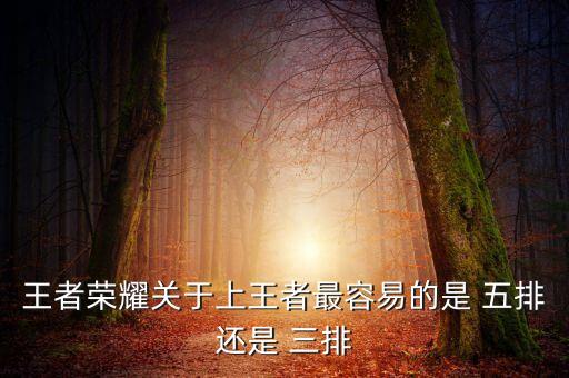 王者榮耀關(guān)于上王者最容易的是 五排還是 三排