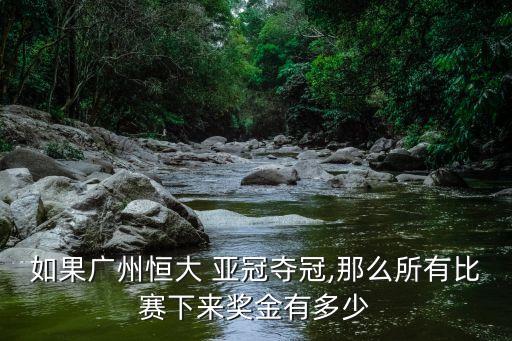 如果廣州恒大 亞冠奪冠,那么所有比賽下來獎(jiǎng)金有多少