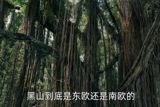 黑山屬于哪個洲的,中國遼寧省黑山縣成為歐洲最新獨立國家