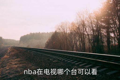 臺灣哪個臺可以看nba,nba在央視播出第二場