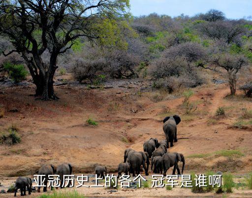 2014亞冠冠軍是哪個(gè)隊(duì),恒大淘寶足球俱樂部六次獲中超冠軍