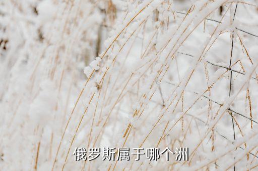 俄羅斯是哪個(gè)洲新西蘭,俄羅斯是一個(gè)什么樣的國(guó)家?