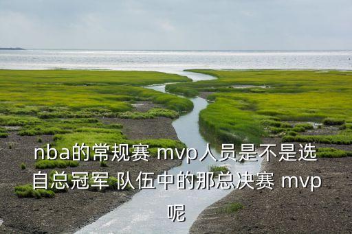 nba的常規(guī)賽 mvp人員是不是選自總冠軍 隊(duì)伍中的那總決賽 mvp呢