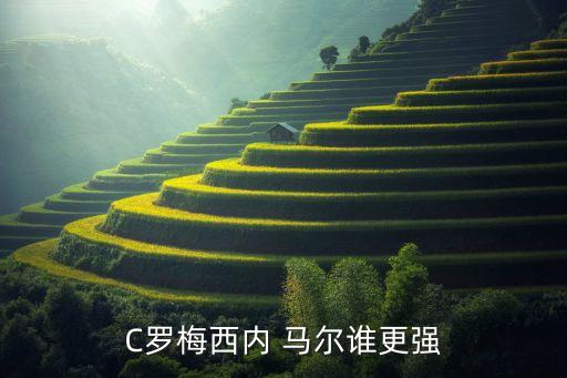 內(nèi)馬爾 c羅哪個(gè)強(qiáng),梅西c羅單挑皆大歡喜比馬爾強(qiáng)很多