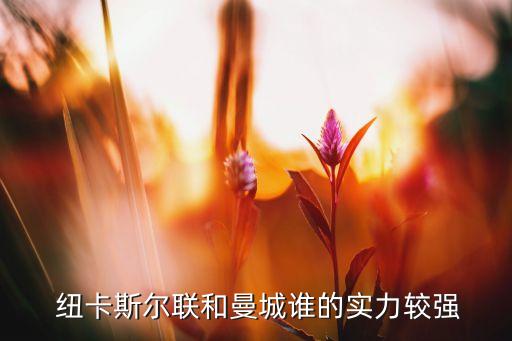 紐卡斯?fàn)柡屠顷?duì)哪個(gè)強(qiáng),球隊(duì)缺乏凝聚力紐卡斯?fàn)枙鼜?qiáng)