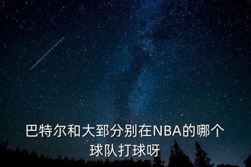  巴特爾和大郅分別在NBA的哪個(gè) 球隊(duì)打球呀