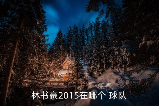 林書(shū)豪2015在哪個(gè) 球隊(duì)