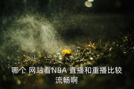 哪個 網(wǎng)站看NBA 直播和重播比較流暢啊