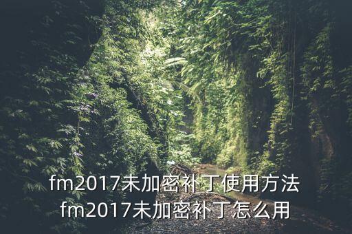  fm2017未加密補丁使用方法 fm2017未加密補丁怎么用