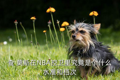 查 莫斯在NBA控衛(wèi)里究竟是個(gè)什么水準(zhǔn)和檔次