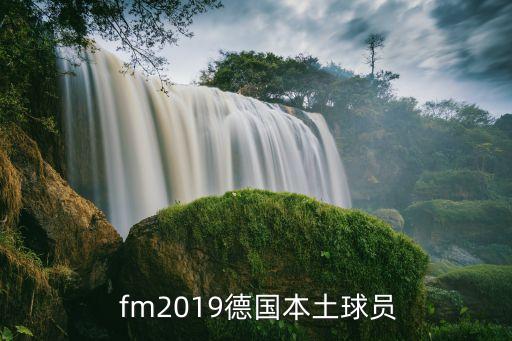  fm2019德國本土球員