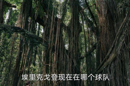 埃里克邁納在哪個(gè)隊(duì),nba球星雷迪克的職業(yè)生涯回顧