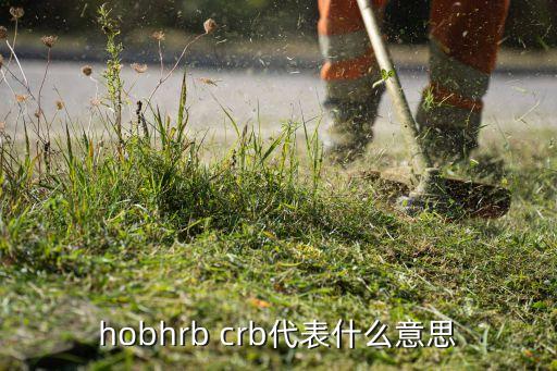 hobhrb crb代表什么意思