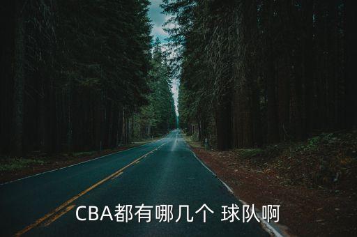 CBA都有哪幾個 球隊啊