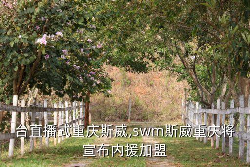 哪個(gè)臺(tái)直播式重慶斯威,swm斯威重慶將宣布內(nèi)援加盟