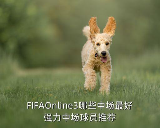 FIFAOnline3哪些中場(chǎng)最好強(qiáng)力中場(chǎng)球員推薦