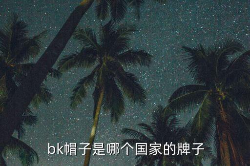 bk是哪個球隊,裂，裂；是可數(shù)名詞也是機會的意思