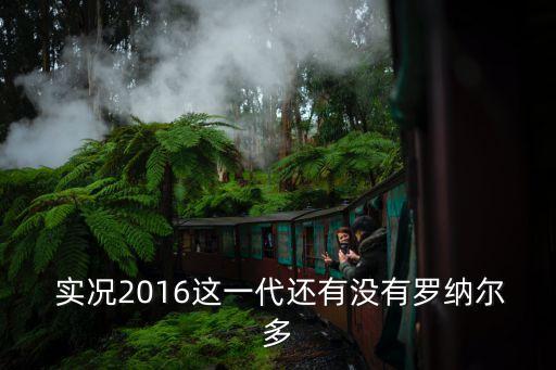 實(shí)況2016哈維在哪個(gè)隊(duì),實(shí)況足球聯(lián)賽轉(zhuǎn)生球員查詢(xún)方法