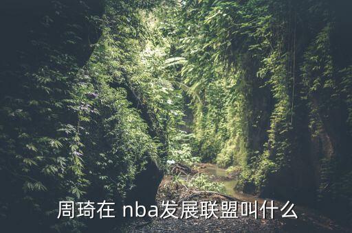  周琦在 nba發(fā)展聯(lián)盟叫什么