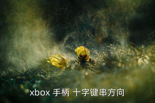 xbox 手柄 十字鍵串方向