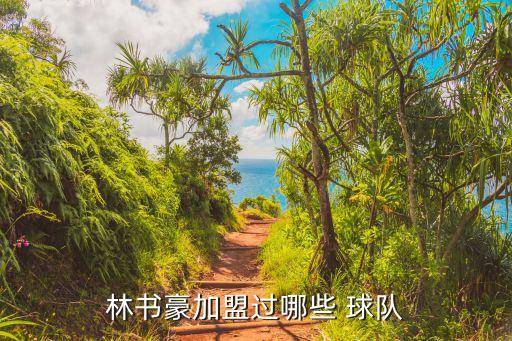 哪個球隊要林書豪,林書豪成為首位進(jìn)入nba的美籍華裔球員