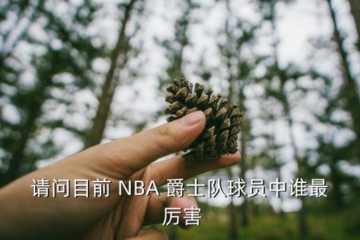 請(qǐng)問目前 NBA 爵士隊(duì)球員中誰最 厲害