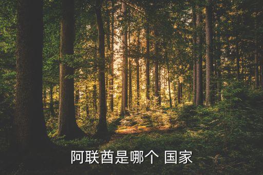 阿聯(lián)酋是哪個 國家