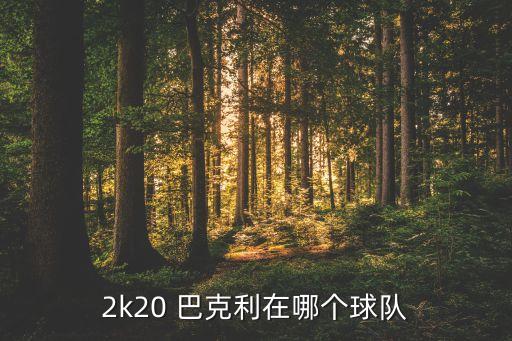 2k20 巴克利在哪個球隊