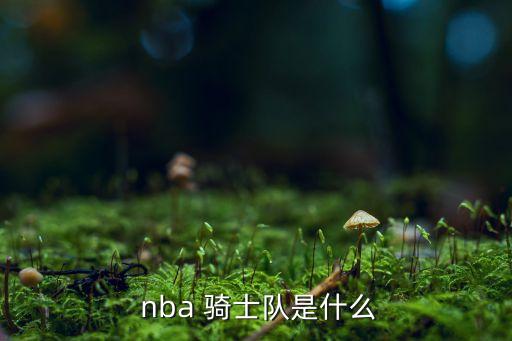 nba騎士隊(duì)是哪個(gè)城市,nba球隊(duì)克利夫蘭騎士team重建