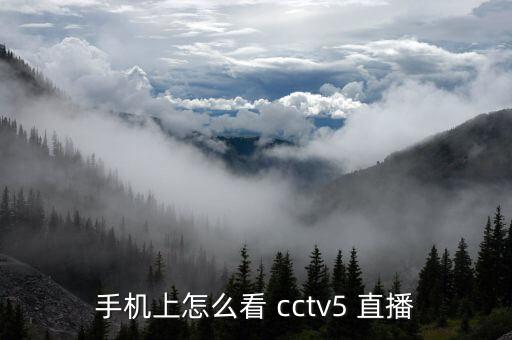 手機(jī)上怎么看 cctv5 直播