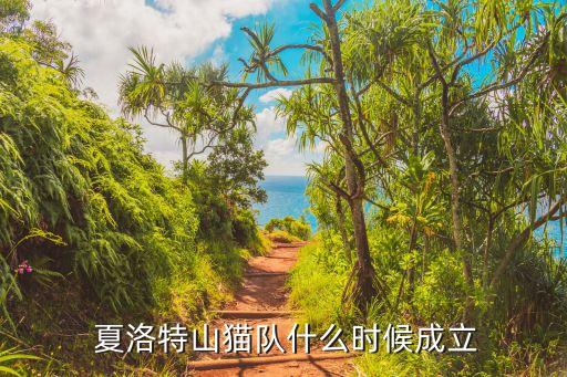  夏洛特山貓隊什么時候成立