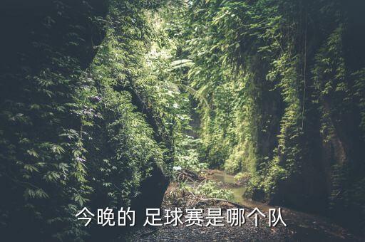 今晚的 足球賽是哪個(gè)隊(duì)