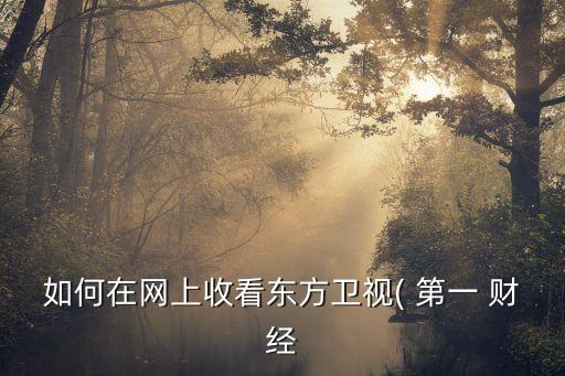 如何在網(wǎng)上收看東方衛(wèi)視( 第一 財經