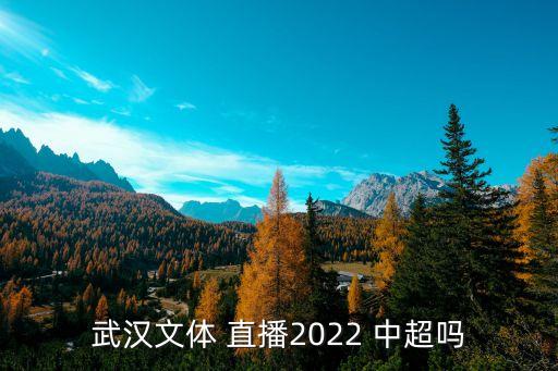 武漢文體 直播2022 中超嗎