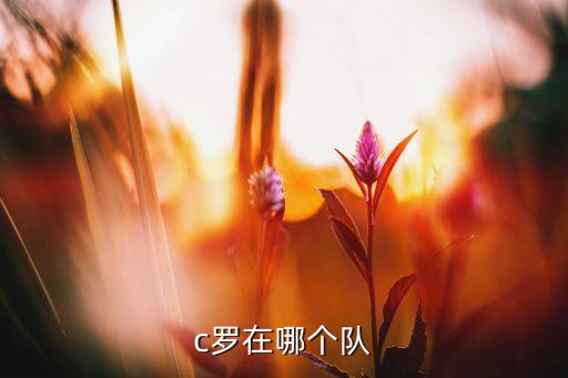 日職008代表哪個隊,c羅轉會曼聯(lián)10年后重返曼聯(lián)