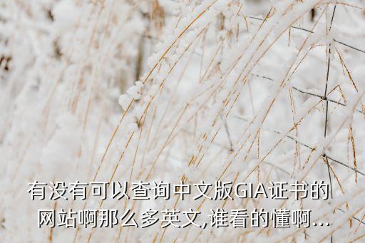 哪個(gè)網(wǎng)站可以查gia br,gia官方網(wǎng)站如何進(jìn)行查詢?