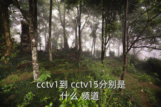  cctv1到 cctv15分別是什么 頻道