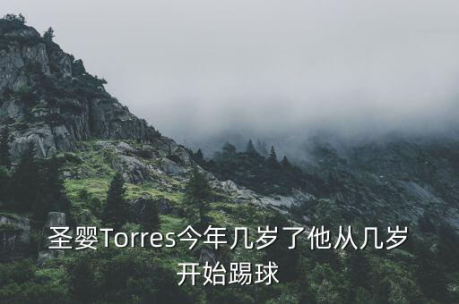 圣嬰Torres今年幾歲了他從幾歲開始踢球