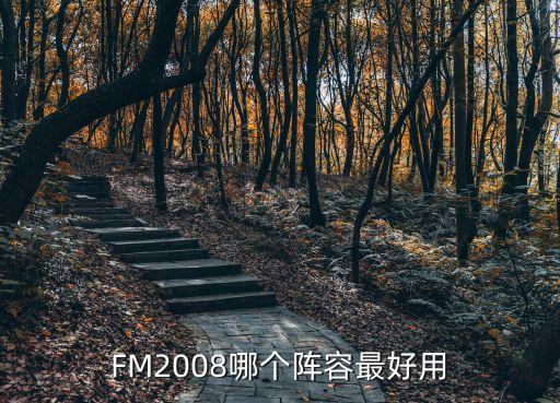 FM2008哪個陣容最好用