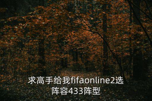 求高手給我fifaonline2選陣容433陣型