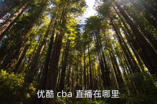 優(yōu)酷 cba 直播在哪里