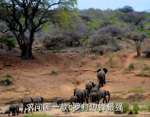 打邊路哪個賽季c羅好,足壇消息:羅本打右邊鋒拜仁打中路邊路