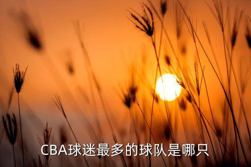 cba哪個(gè)球館最好,浙江廣廈籃球隊(duì)主場(chǎng)在體育館有很多球迷!