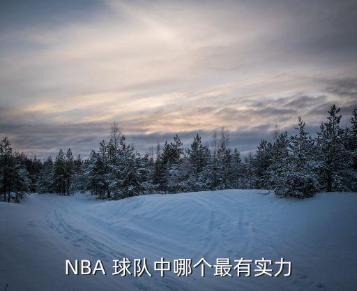 NBA 球隊中哪個最有實力