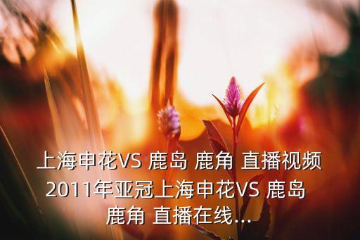 上海申花VS 鹿島 鹿角 直播視頻2011年亞冠上海申花VS 鹿島 鹿角 直播在線...