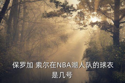  保羅加 索爾在NBA湖人隊(duì)的球衣是幾號(hào)