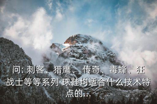 問: 刺客、獵鷹、 傳奇、毒蜂、狂戰(zhàn)士等等系列 球鞋均適合什么技術(shù)特點的...