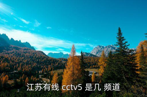 cctv5加是哪個頻道,cctv5 是哪個頻道的副臺?