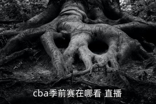 哪個(gè)網(wǎng)站直播CBA季后賽,央視體育頻道如何進(jìn)行預(yù)約直播