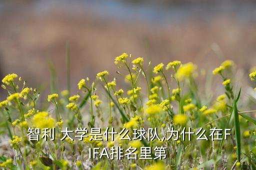  智利 大學(xué)是什么球隊(duì),為什么在FIFA排名里第